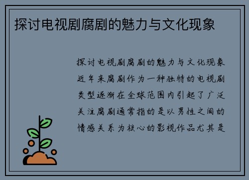 探讨电视剧腐剧的魅力与文化现象